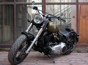 HARLEY-DAVIDSON FLS 1690 SLIM